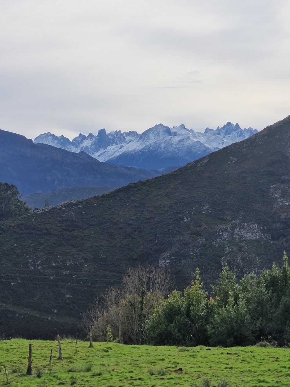 A trail in the mountains