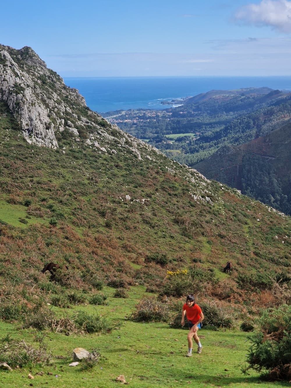 A trail in the mountains