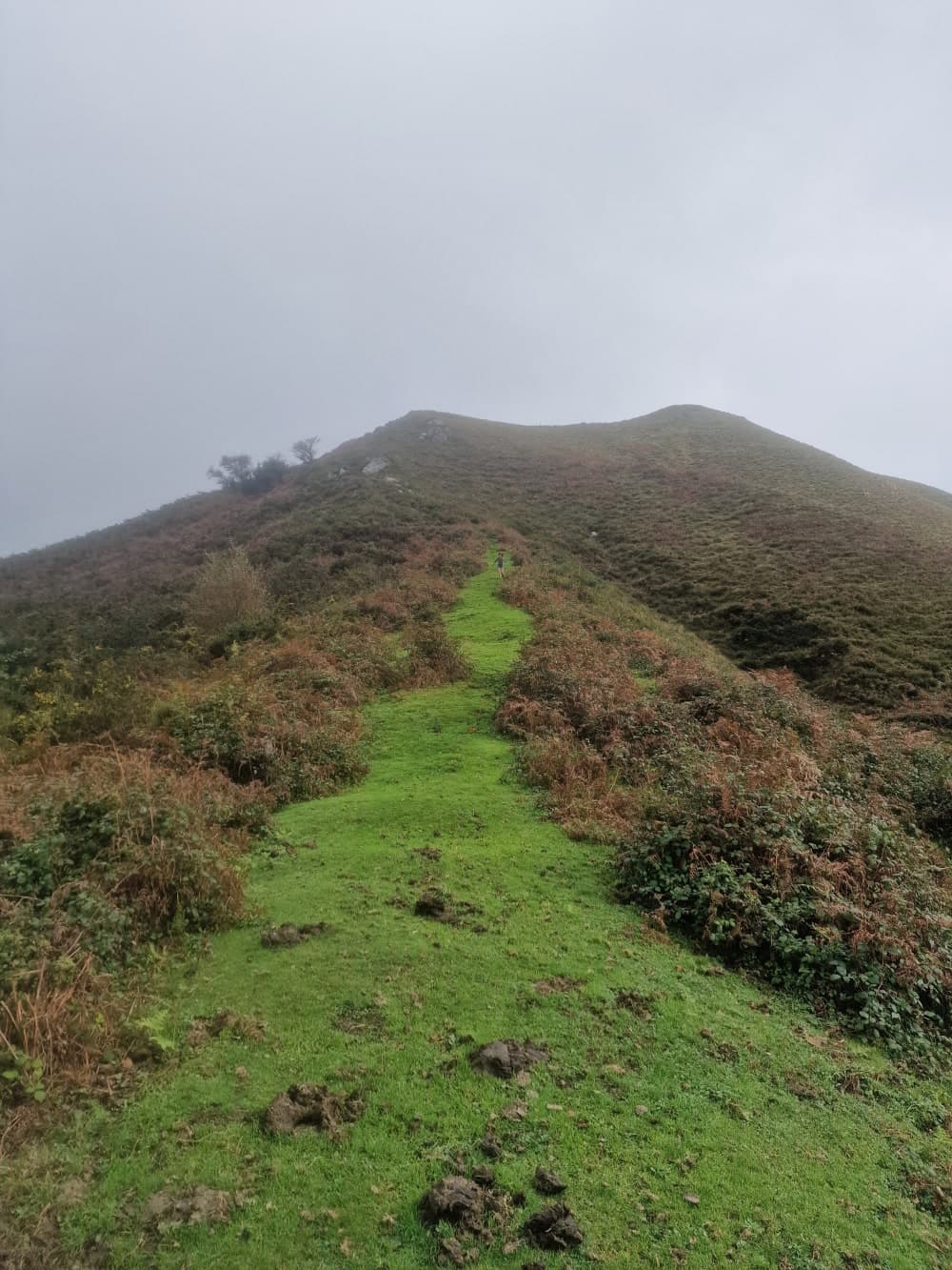 A trail in the mountains